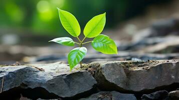 un pequeño verde planta es creciente fuera de un grieta en el suelo generativo ai foto