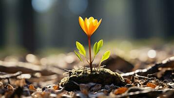 a small orange flower growing out of the ground in the middle of a forest generative ai photo