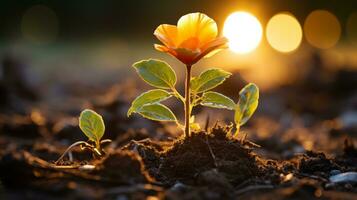 a small orange flower is growing out of the ground generative ai photo