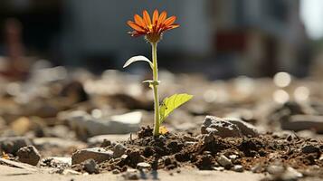 un pequeño naranja flor es creciente fuera de el suelo generativo ai foto