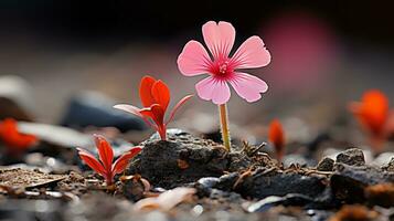 un pequeño rosado flor creciente fuera de el suelo generativo ai foto