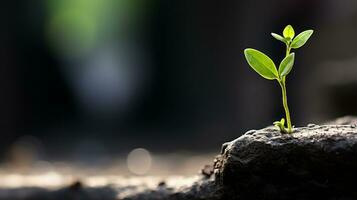 un pequeño planta es creciente fuera de el suelo generativo ai foto