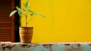 a small plant is sitting in a pot on top of a wall generative ai photo