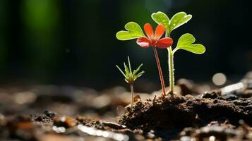 un pequeño rojo planta creciente fuera de el suelo generativo ai foto