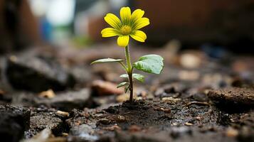 un pequeño amarillo flor creciente fuera de el suelo generativo ai foto