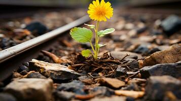 un pequeño amarillo flor es creciente fuera de el suelo en el lado de un tren pista generativo ai foto