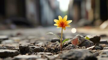 a small yellow flower is growing out of the ground generative ai photo