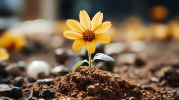 a small yellow flower is growing out of the ground generative ai photo