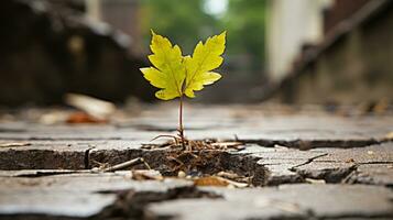 a small yellow leaf is growing out of a crack in the ground generative ai photo