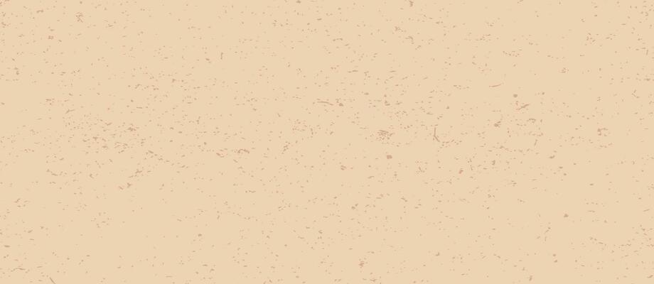 Minimalistic grainy eggshell paper texture. Vintage grunge background with speckles, dots, flecks and particles. Vector illustration