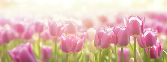 hermosa rosado tulipán en un borroso primavera soleado antecedentes. generativo ai foto