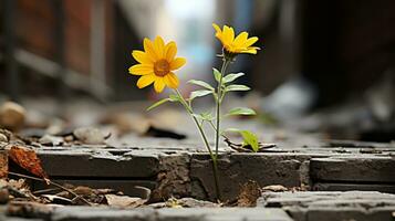 a yellow flower growing out of a crack in the ground generative ai photo