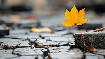 a yellow leaf sits on top of a crack in the ground generative ai photo