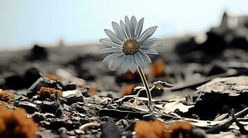 un imagen de un flor en el medio de un campo generativo ai foto