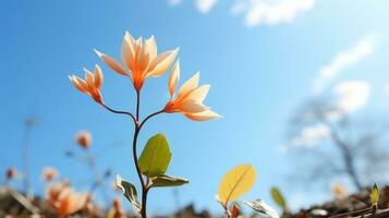 an orange flower blooming in a field with a blue sky in the background generative ai photo