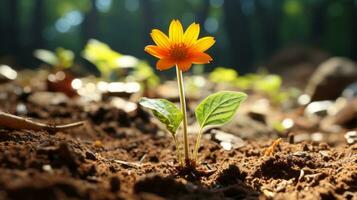 an orange flower growing out of the ground in the forest generative ai photo