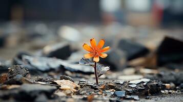 an orange flower is growing out of the ground generative ai photo