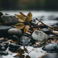 autumn leaves on rocks in the water generative ai photo