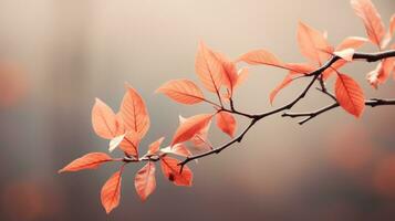 autumn leaves on a branch with blurred background generative ai photo