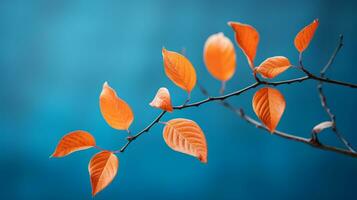 orange leaves on a branch against a blue background generative ai photo