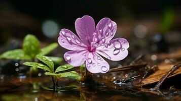 pink flower in water with water droplets on it generative ai photo