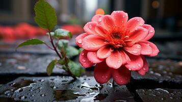 pink flower with rain drops on it in front of a brick wall generative ai photo