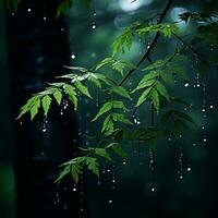 raindrops on a tree branch in the dark generative ai photo