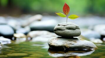 rocas apilado en parte superior de cada otro con un verde planta creciente fuera de uno de ellos generativo ai foto