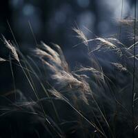 tall grass blowing in the wind in front of a dark background generative ai photo