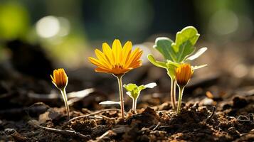 Tres pequeño naranja flores creciente fuera de el suelo generativo ai foto