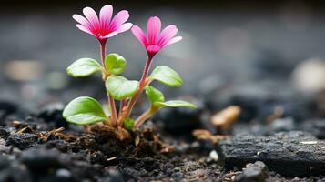 two pink flowers are growing out of the ground generative ai photo