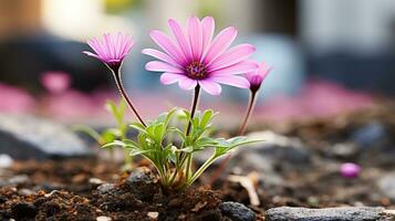 two pink flowers growing out of the ground generative ai photo