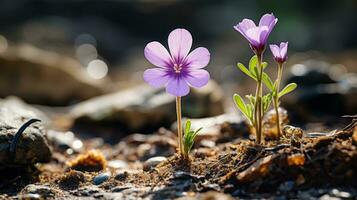 dos púrpura flores creciente fuera de el suelo generativo ai foto