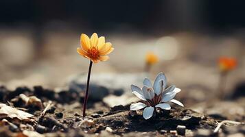 two small flowers are growing out of the ground generative ai photo