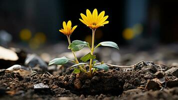 two yellow flowers growing out of the ground generative ai photo