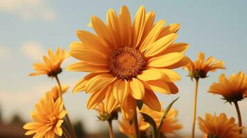 yellow sunflowers in a field against a blue sky generative ai photo