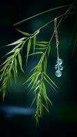 a bamboo branch with water drops hanging from it generative ai photo