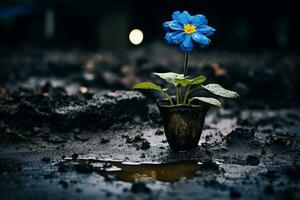 a blue flower in a pot on the ground generative ai photo