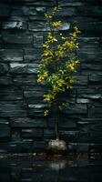 un bonsai árbol en frente de un Roca pared generativo ai foto