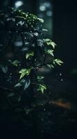 un bonsai árbol en el lluvia con agua gotas en eso generativo ai foto