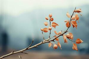 a branch with leaves on it in front of a blurry background generative ai photo