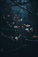 a branch with red berries on it in the dark generative ai photo