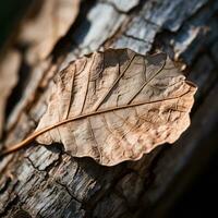 a brown leaf is sitting on a tree trunk generative ai photo