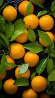 a bunch of oranges with green leaves and water droplets generative ai photo