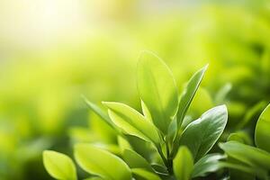 naturaleza de verde hoja en un jardín en verano debajo luz de sol. primavera antecedentes. ai generado foto