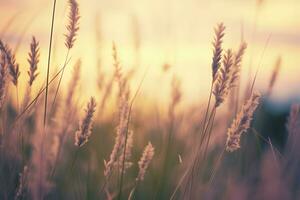 Wild grass in the forest at sunset. Abstract summer nature background. Generative AI photo