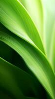 a close up image of a green leaf generative ai photo