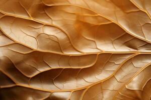 a close up image of a leaf generative ai photo