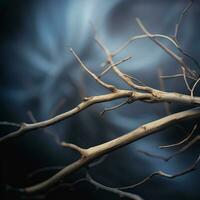 a close up of a branch with no leaves generative ai photo