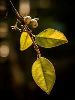 a close up of a branch with leaves on it generative ai photo